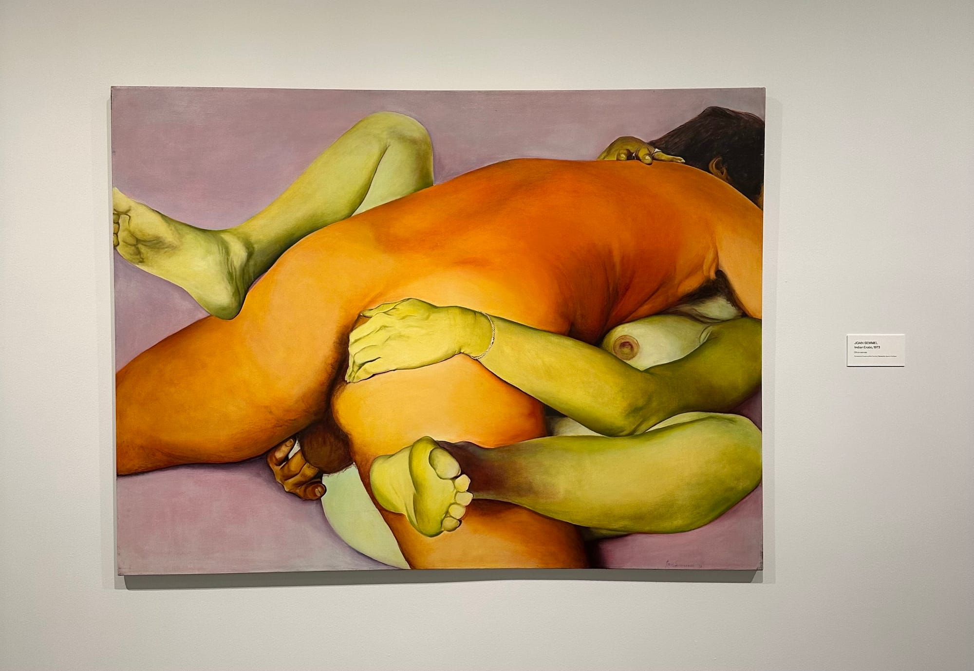 A photo of a Joan Semmel painting of two nude figures making love.