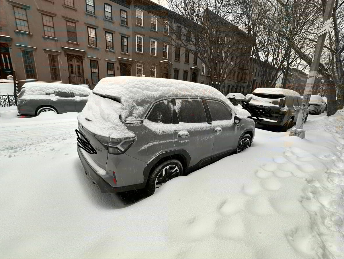 Several cars with snow around and on top of them lining a usually-busy street.